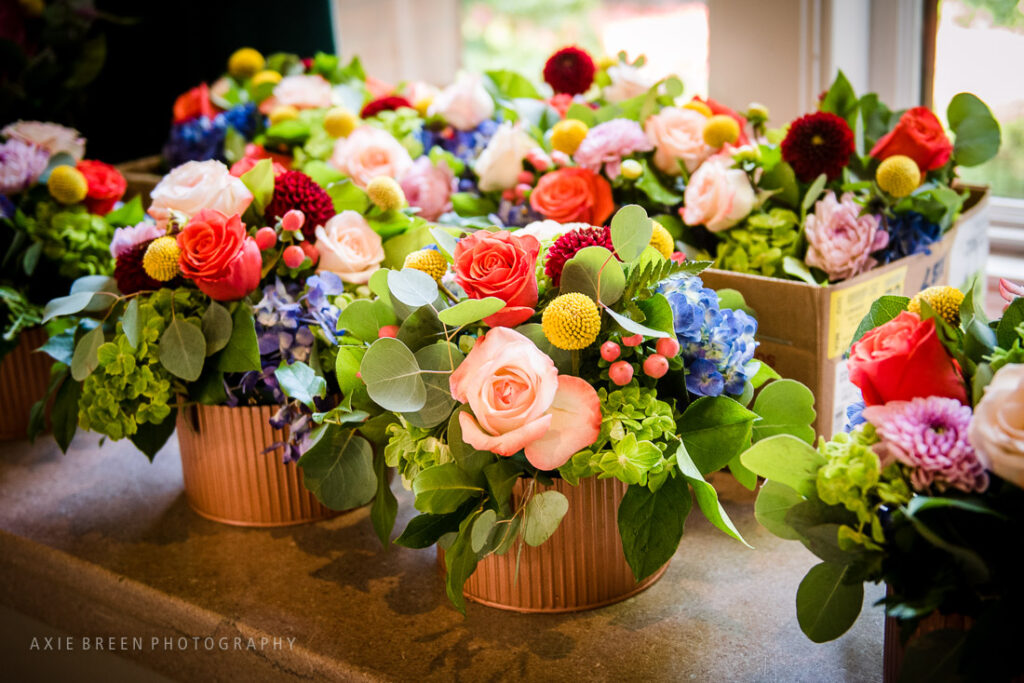 wedding, Boston, Cambridge, Multicultural Arts Center, Centanni Park, wedding photographer