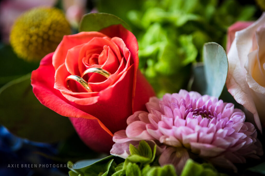 wedding, Boston, Cambridge, Multicultural Arts Center, Centanni Park, wedding photographer